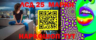 мяу мяу мука Баксан