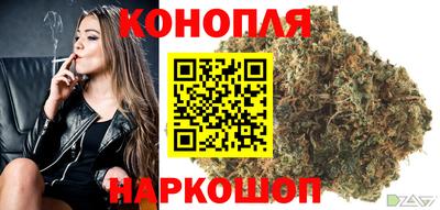 мяу мяу мука Баксан