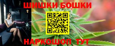 хмурый Бердск