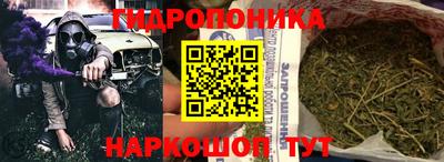 хмурый Бердск
