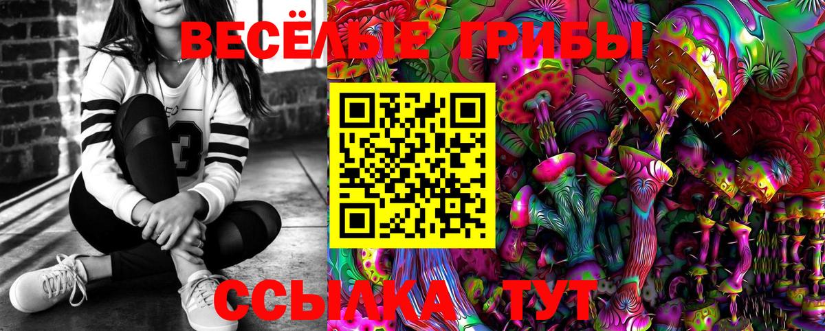 Псилоцибиновые грибы Psilocybe Борзя
