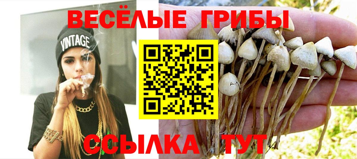 Псилоцибиновые грибы мухоморы  Вход с VPN  Борзя 